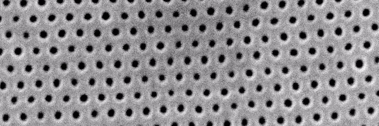 William Phillip banner