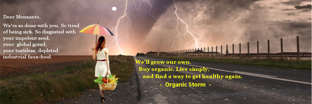 Organic Storm banner