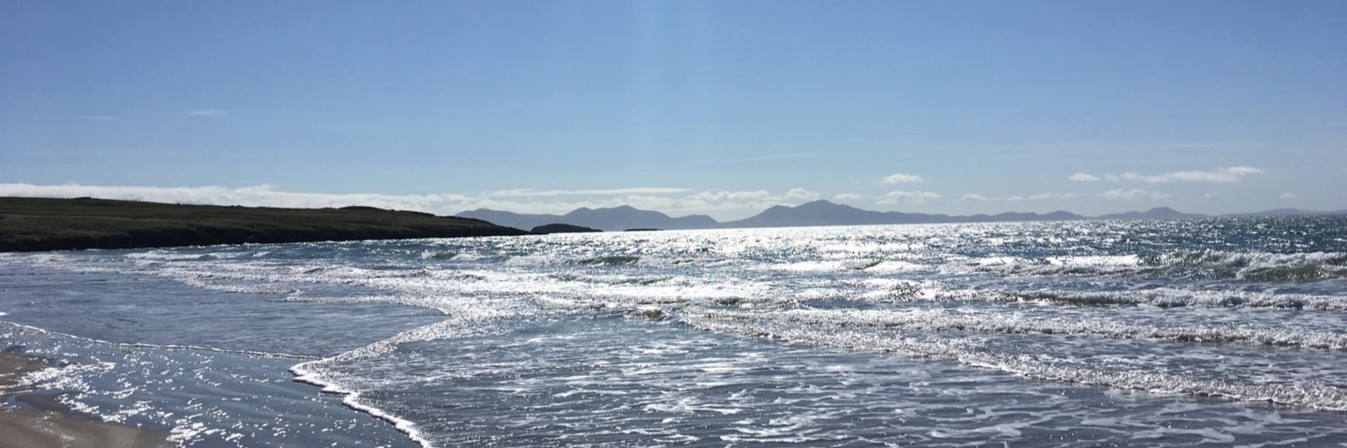 Steph Chadwick banner