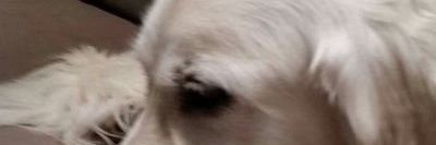 synkr0w's profile banner image