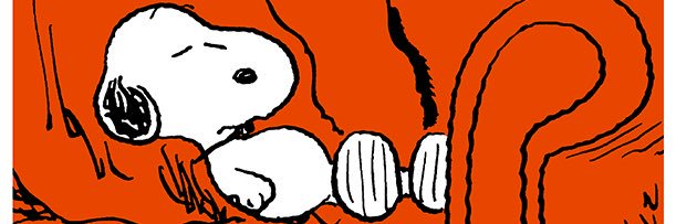 _luvSH's profile banner image