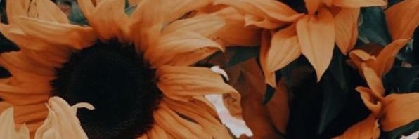 kyleeolmstead's profile banner image
