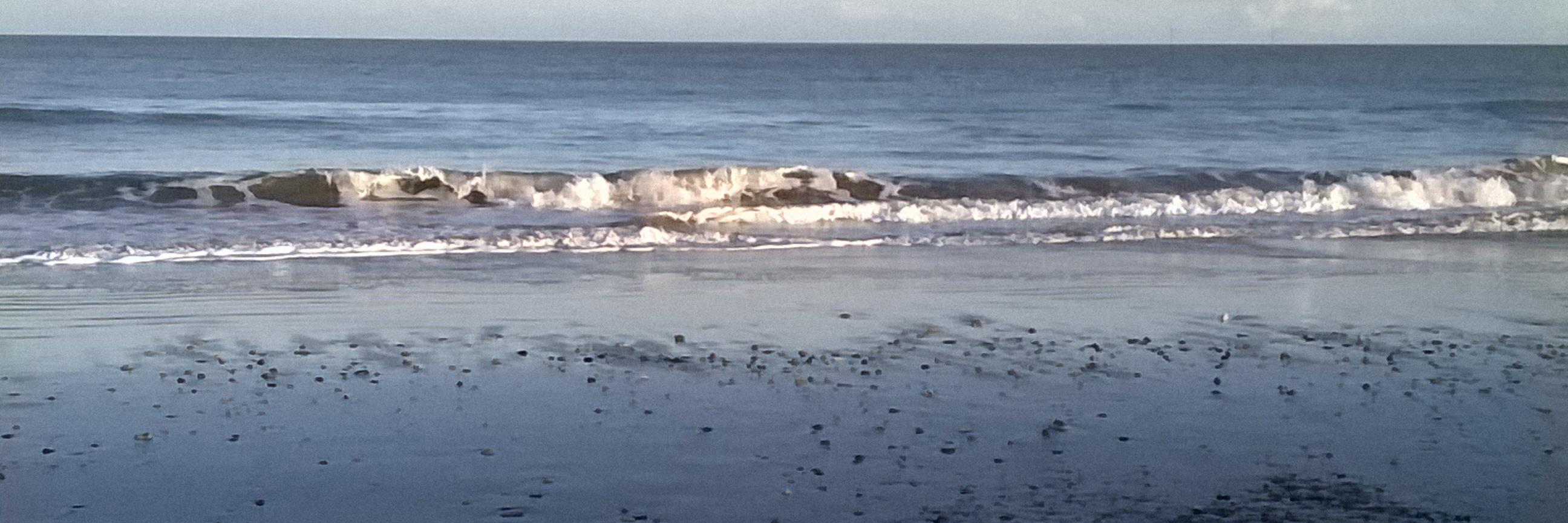 BayBrittas's profile banner image