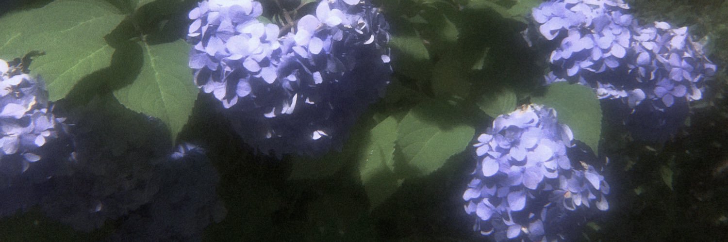 FNNNms's profile banner image