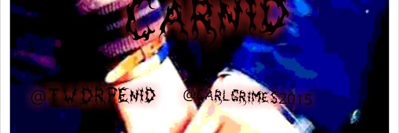 TWDRPEnid's profile banner image