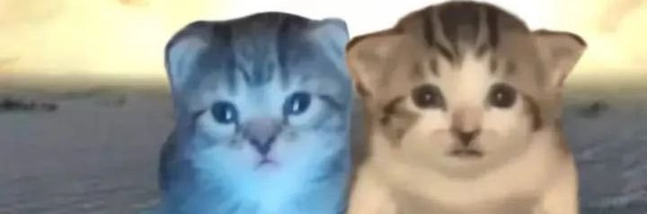 furzzzyyy's profile banner image