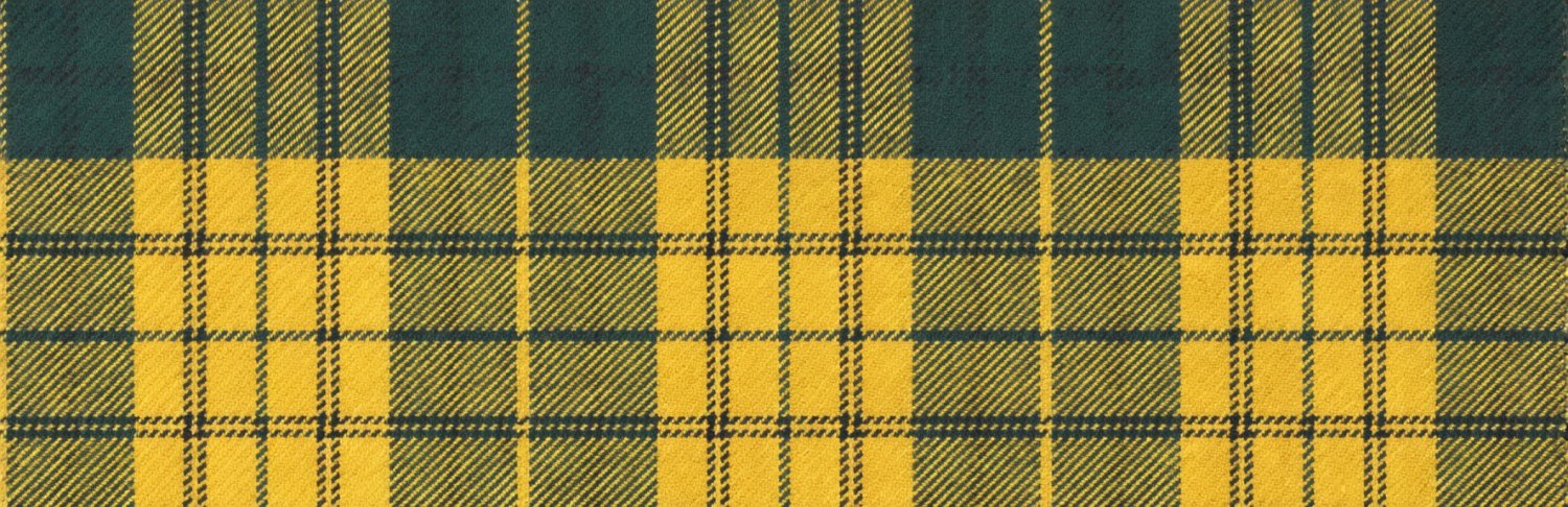 James Meredith banner