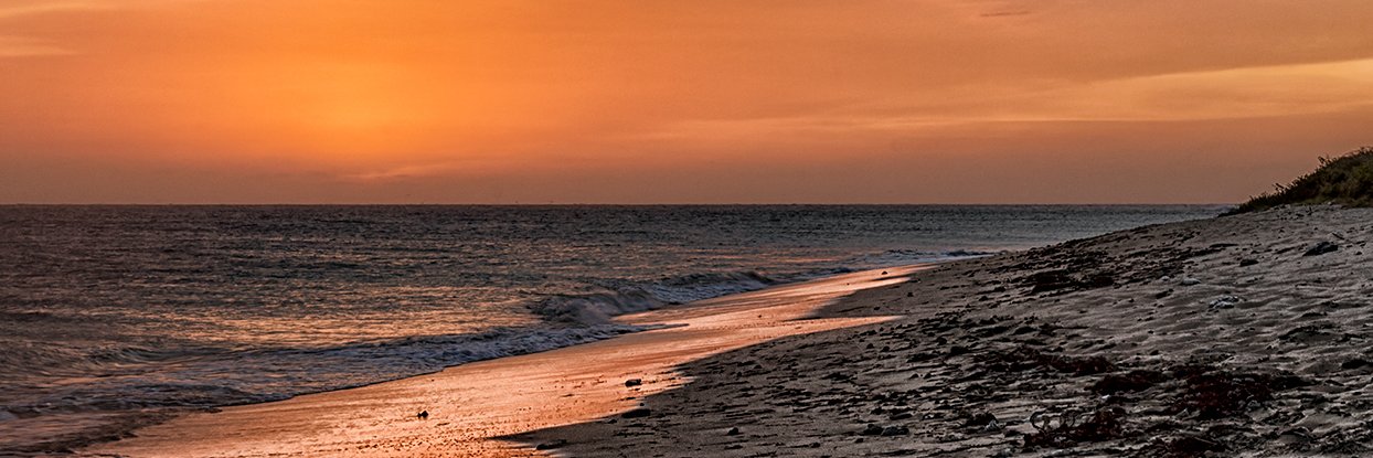 Juan Sangiovanni banner