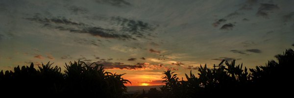 DANdyize Profile Banner