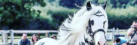 ganarantonio's profile banner image