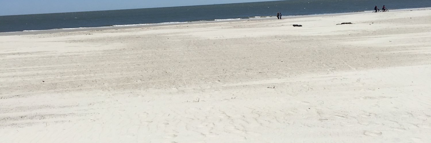 wellsthd's profile banner image
