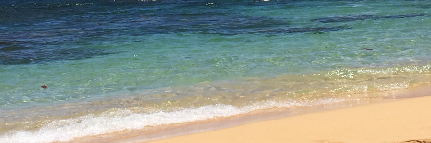 LexiEggers's profile banner image