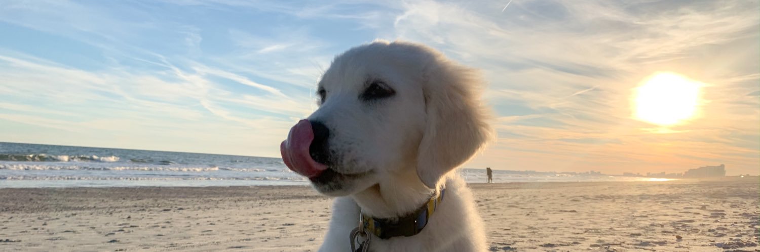 zzaannnnyy's profile banner image
