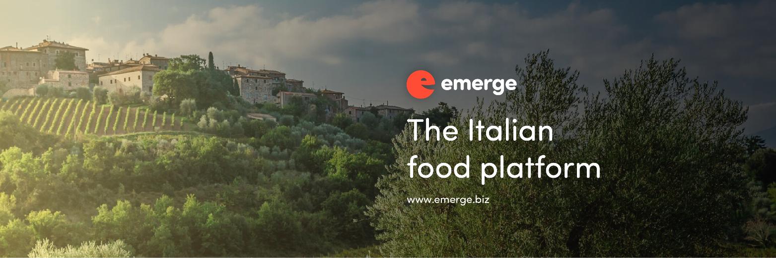 hello@emerge.biz banner