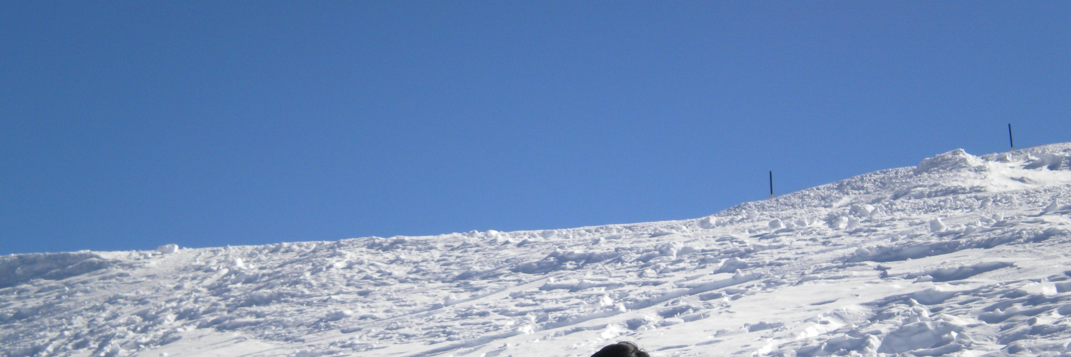 mehashar's profile banner image