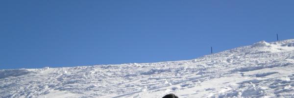 mehashar Profile Banner