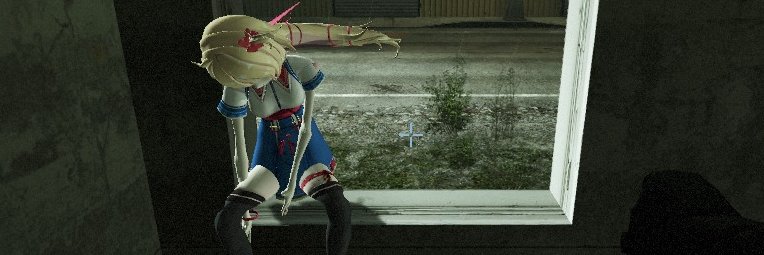 blank banner