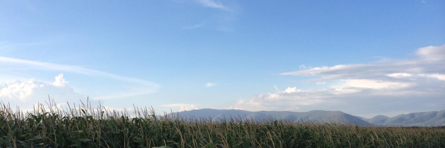 HugoAlvarezV15's profile banner image