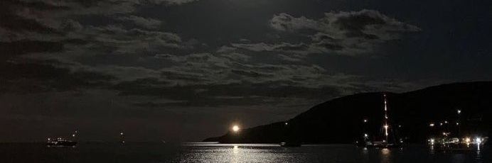 Mhossny60's profile banner image