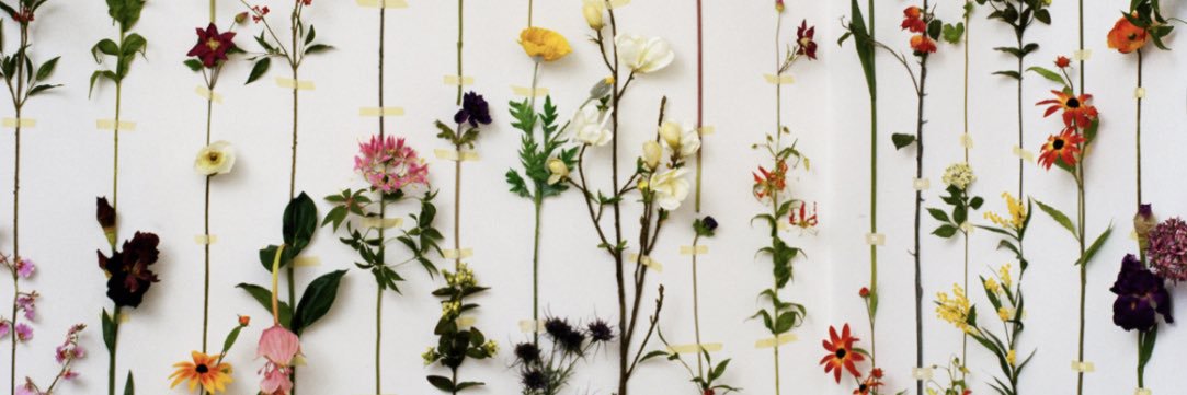 joyceemmoraaa's profile banner image
