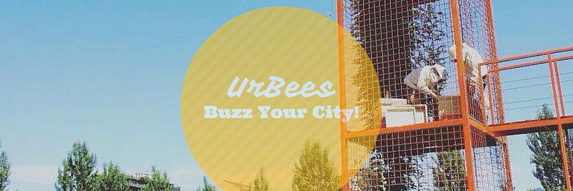 ProgettoUrBees's profile banner image