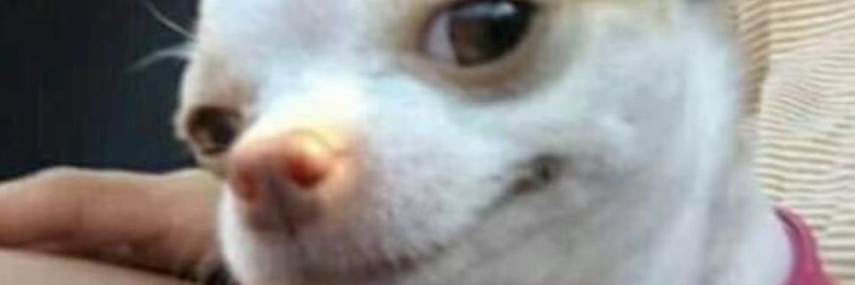geeboles's profile banner image