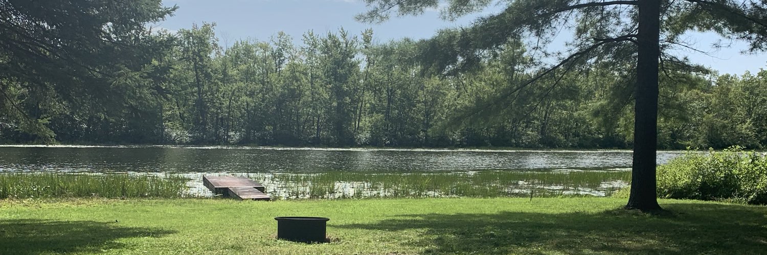 Lisa Phillips banner