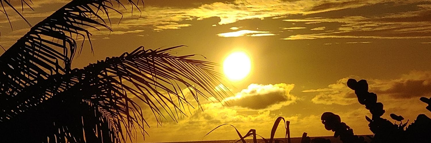 bswilson66's profile banner image