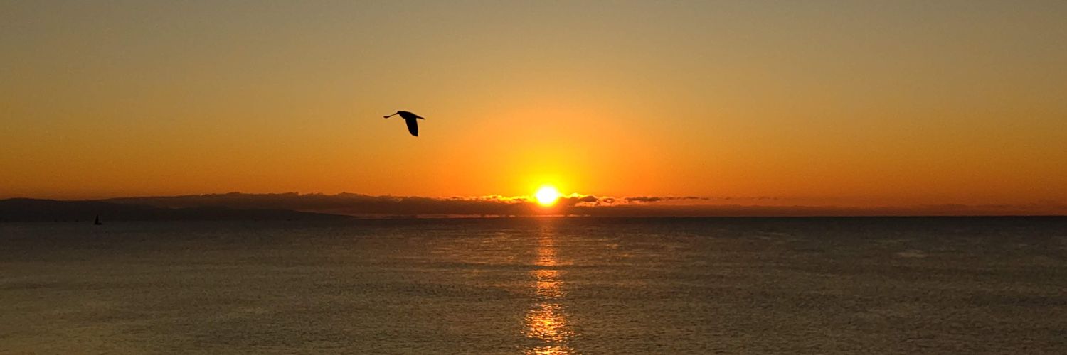 井場景子（Kyoko Iba） banner