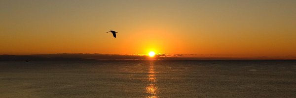 ibakyoko Profile Banner