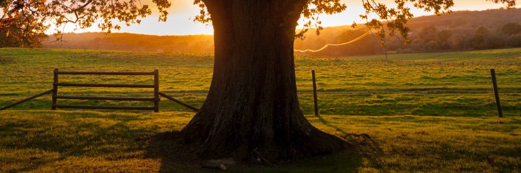 Leesdalton's profile banner image