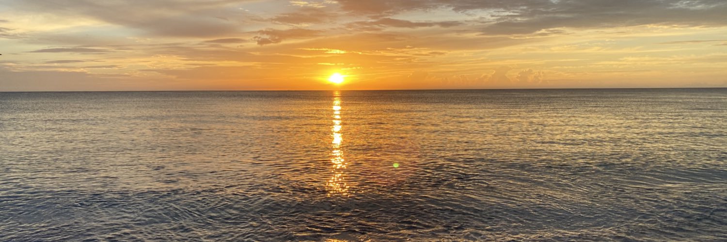 SunshineSta711 banner