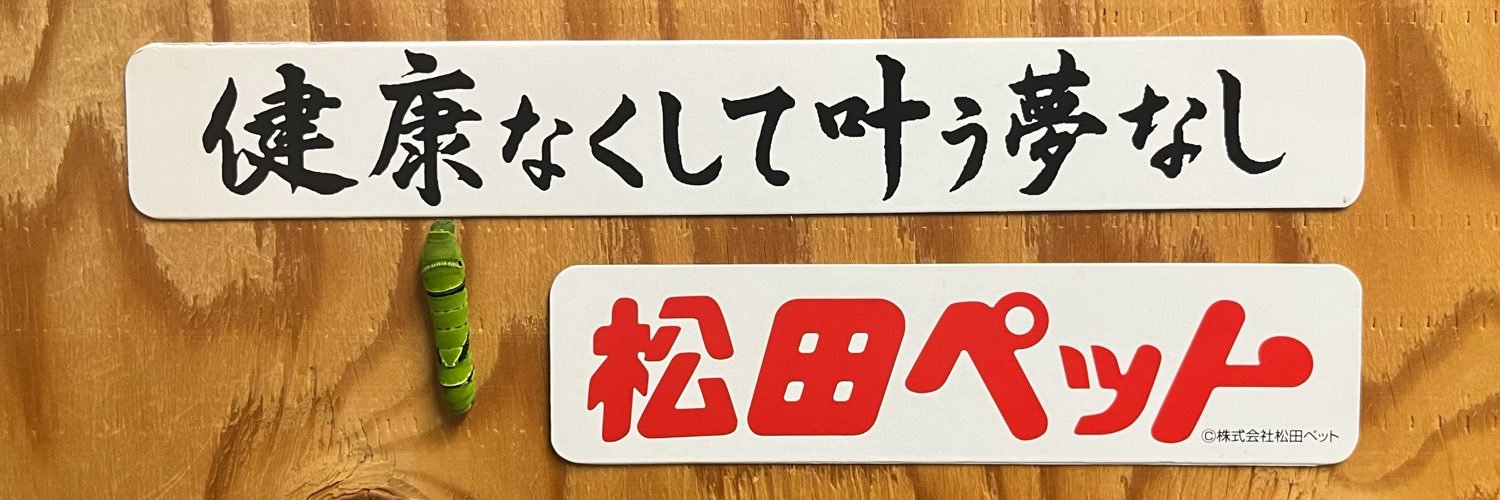 theridame's profile banner image