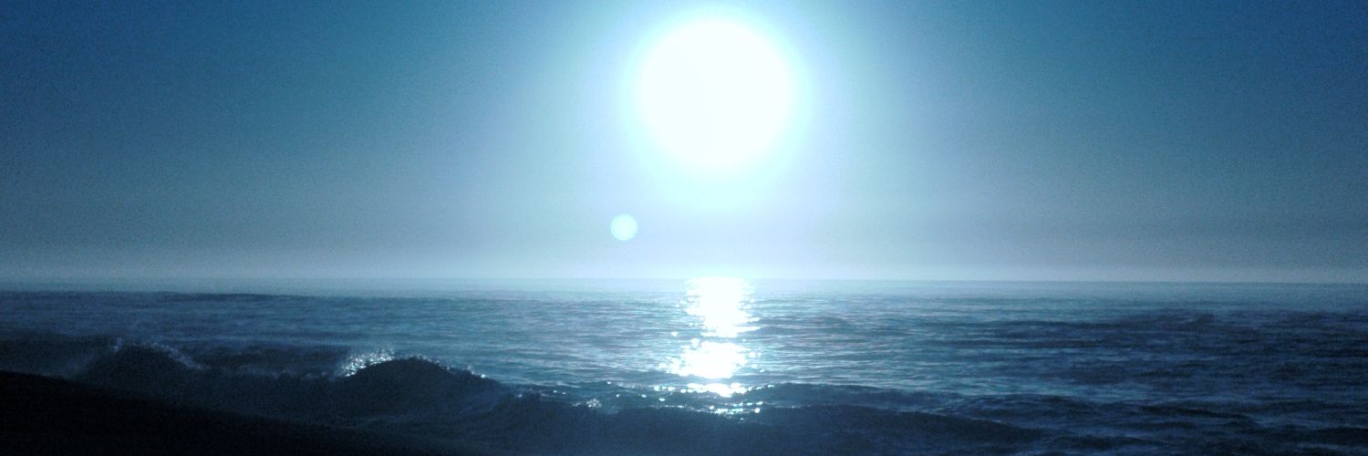 YANDUTRARJ's profile banner image