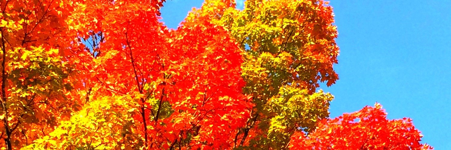 kimhen33's profile banner image