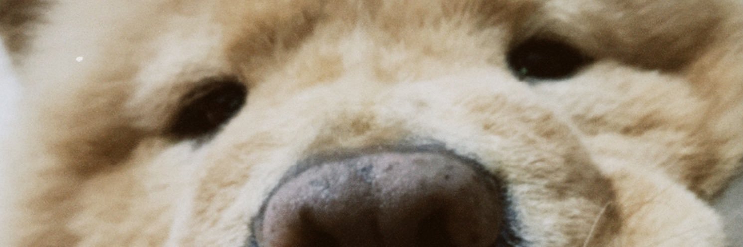 simoessmari's profile banner image