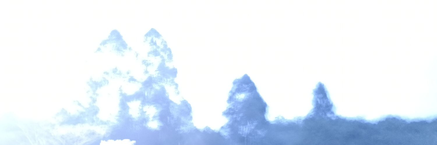 🌛 V A L K A 🌜 (🏳️‍⚧️ 🍉) banner