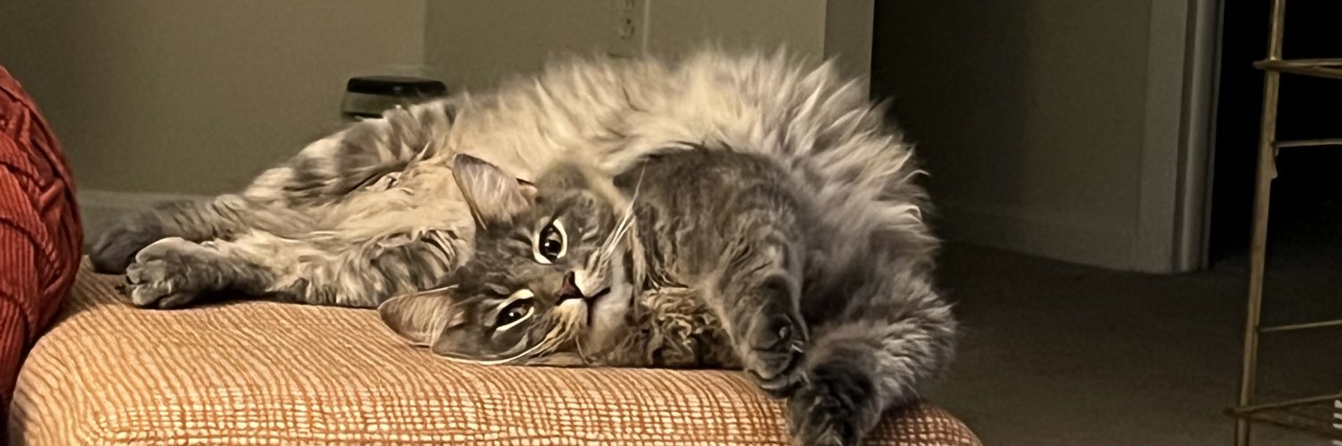 MadelineW08's profile banner image
