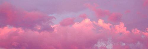 anova1_'s profile banner image