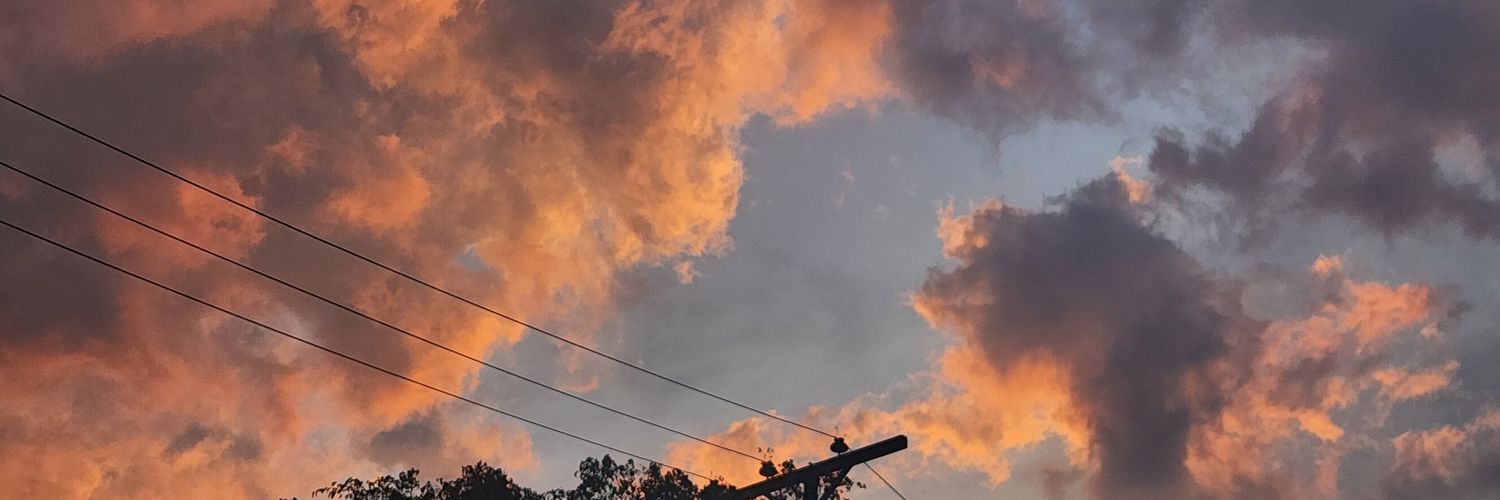Cronopio323's profile banner image