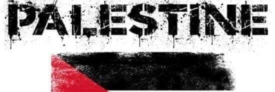 danarossa's profile banner image