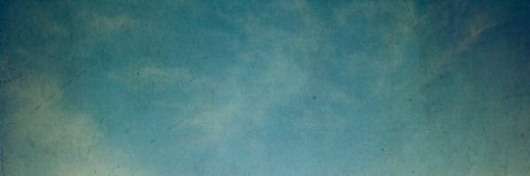 aureliafleurs's profile banner image