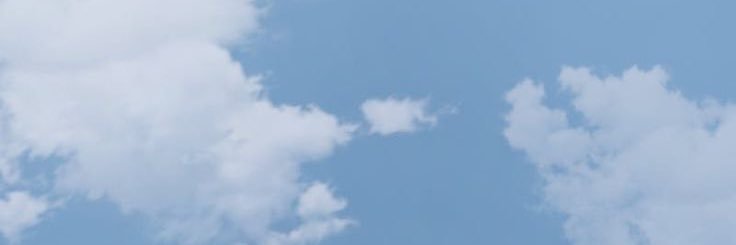 florbergilli_'s profile banner image