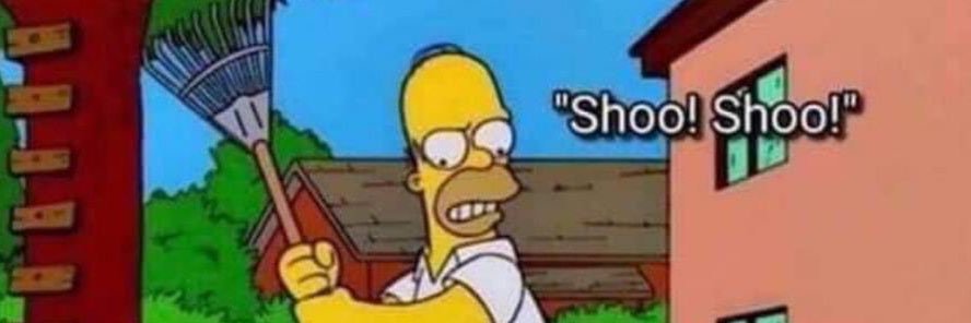 jamie_steww's profile banner image