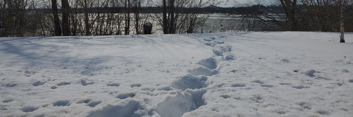 AnonymousFlaw's profile banner image