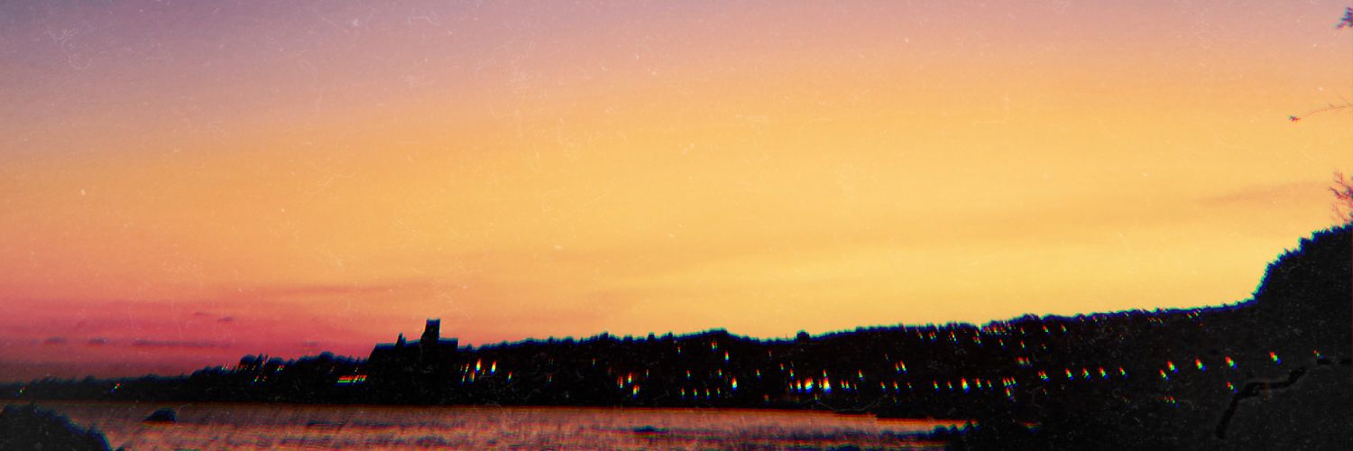 DaniCodon's profile banner image