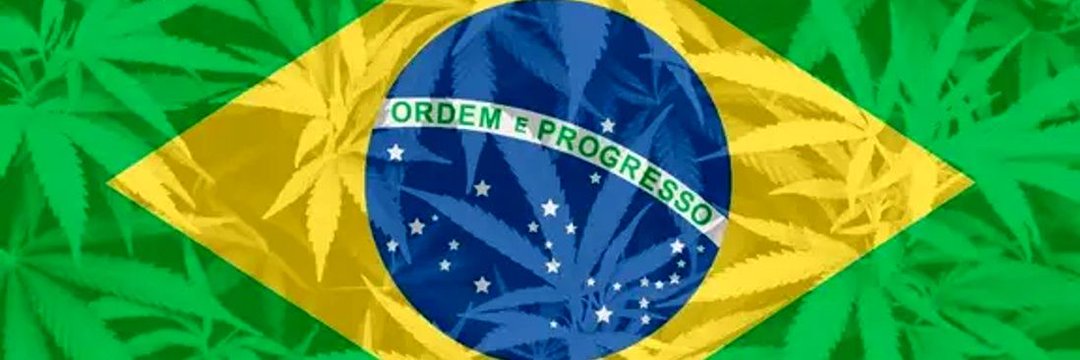 Pernambuconha's profile banner image