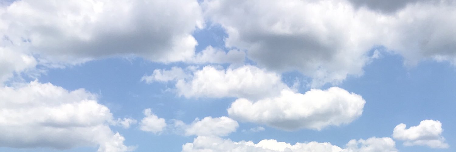 bethanykranz's profile banner image