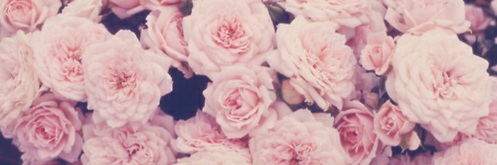 LydiaMh's profile banner image