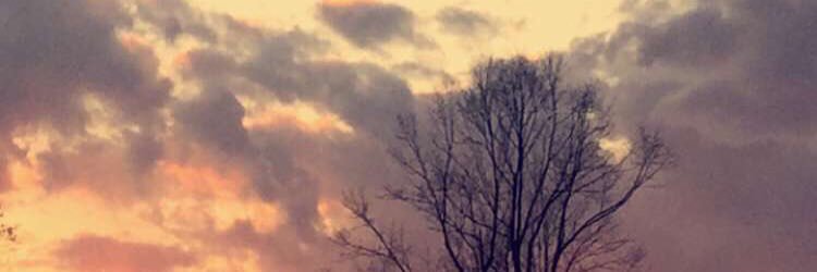 keonna_lindner's profile banner image